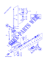 COPERCHIO E TRASMISSIONE DELL'ELICA 1 per Yamaha F8C Manual Starter, Tiller Handle, Manual Tilt, Shaft 20