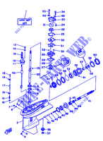 CARTER INFERIORE E TRASMISSIONE 1 per Yamaha 25Q 2 Stroke, Electric Start, Remote Control, Manual Tilt 1990