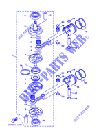 ALBERO MOTORE / PISTONE per Yamaha E40X Manual Starter, Tiller Handle, Manual Tilt, Pre-Mixing, Shaft 20