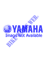 ACCENSIONE per Yamaha CW50R 1995