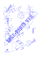 RADIATORE ACQUA / TUBO per Yamaha VP300 2002