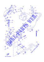 RADIATORE ACQUA / TUBO per Yamaha VP300 2002