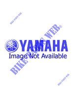 RICAMBI OPZIONALI 1 per Yamaha WR250Z 1998