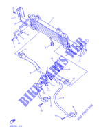 RADIATORE SCAMBIATORE OLIO per Yamaha XJR1300SP 2001