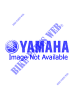 ALBERO A CAMME / CATENA per Yamaha YH50 1998