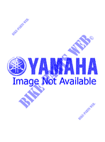 POMPA OLIO per Yamaha YH50 1999