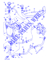 RADIATORE ACQUA / TUBO per Yamaha YP125 1999